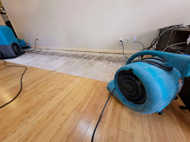 Professional Emergency Water Damage technician working in Ward, AR